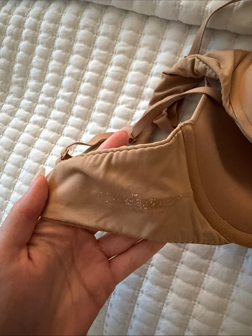 Fits Everybody Push-Up Bra